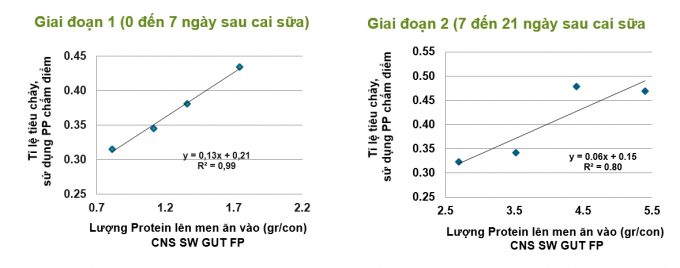 Hình 1: Mối tương quan giữa đạm lên men và tỷ lệ tiêu chảy trên heo con sau cai sữa (Cargill research 2012).