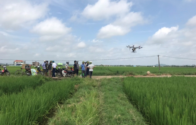 Phun thuốc BVTV bằng drone đã giúp nông dân kịp thời phòng trừ sâu bệnh hại lúa vụ mùa tại xã Hiển Khánh. Ảnh: LT.