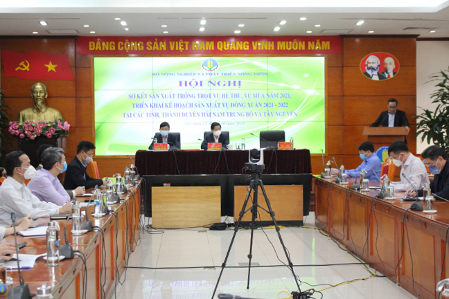 Bộ NN-PTNT tổ chức hội nghị nhằm sớm có giải pháp cho sản xuất vụ đông xuân 2021 - 2022 các tỉnh Duyên hải Nam Trung Bộ và Tây Nguyên. Ảnh: Trung Quân.