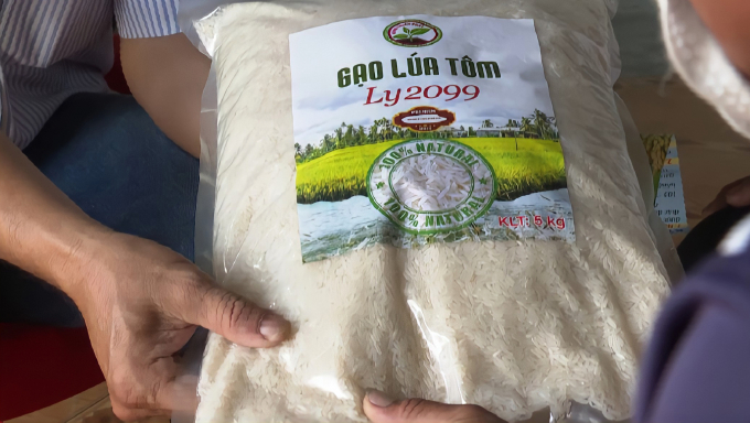 Gạo LY2099 canh tác ở ruộng lúa - tôm đang được các doanh nghiệp xuất khẩu quan tâm. Ảnh: Anh Tuấn.