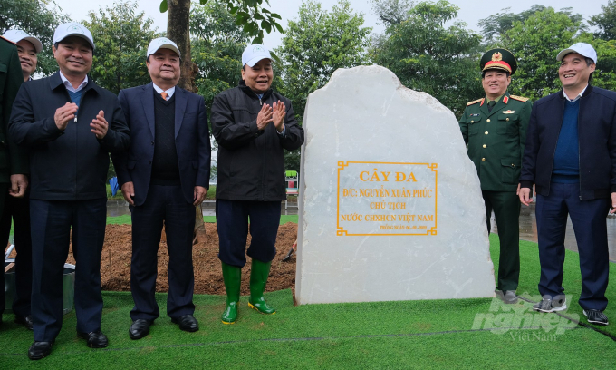 Chủ tịch nước Nguyễn Xuân Phúc, Bộ trưởng Lê Minh Hoan cùng lãnh đạo các Ban, ngành Trung ương, địa phương bên cây đa trồng lưu niệm. Ảnh: Bảo Thắng.