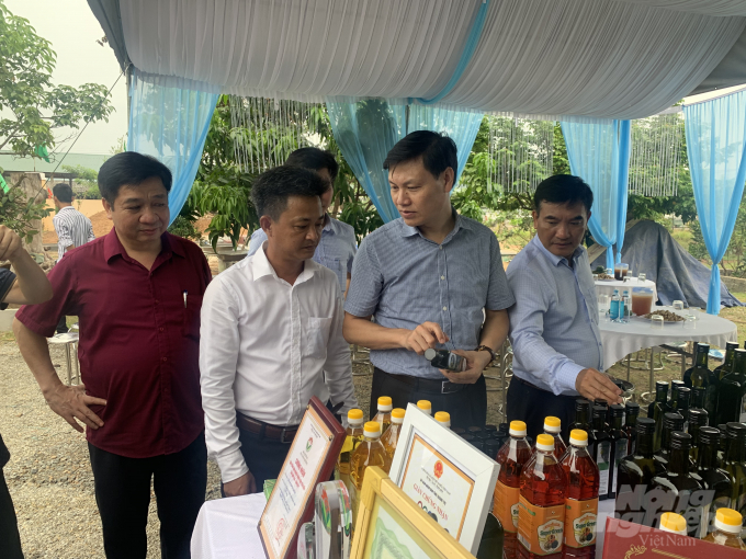 Các đại biểu dự hội nghị thăm mô hình sản xuất dầu lạc Từ Phong ở huyện NTM Cam Lộ. Ảnh: LQB