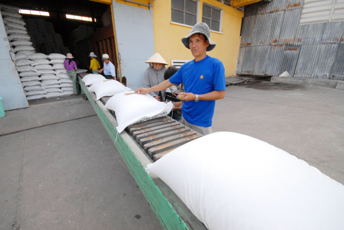Chính sách xuất khẩu gạo liên tục thay đổi, doanh nghiệp và người làm ra hạt gạo thua thiệt. Ảnh: Lê Hoàng Vũ.