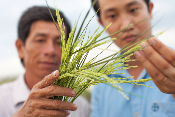 Dự án hỗ trợ 80.000 hộ nông dân ĐBSCL và Đông Nam Bộ phục hồi sản xuất và thực hành nông nghiệp tốt. Ảnh: Bayer Việt Nam.
