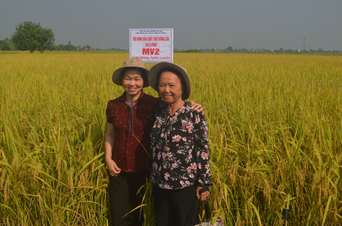 PGS.TS Nguyễn Thị Trâm (phải), tác giả nhiều giống lúa lai nổi tiếng. Ảnh: Nguyễn Mười.