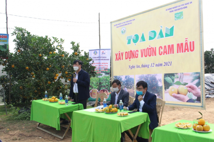 Tọa đàm xây dựng vườn cam mẫu ở huyện Yên Thành.