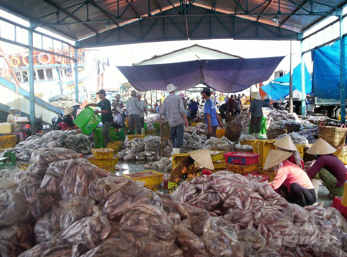 Quy trình quản lý tại cảng cá Tắc Cậu (huyện Châu Thành, Kiên Giang) có nhiều tiến bộ, ứng dụng công nghệ thông tin trong quản lý tàu cá, truy xuất nguồn gốc nguyên liệu hải sản và xác nhận nguồn gốc nguyên liệu thủy sản. Ảnh: Trung Chánh.