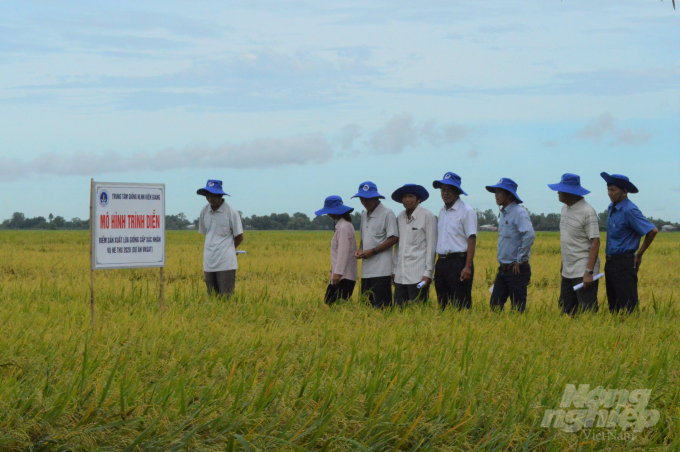 Bà con xã viên tham quan, đánh giá hiệu quả mô hình rình diễn sản xuất lúa giống cấp xác nhận 1 vụ hè thu 2020, tại HTX Nông nghiệp Kênh 7B. Ảnh: Trung Chánh.