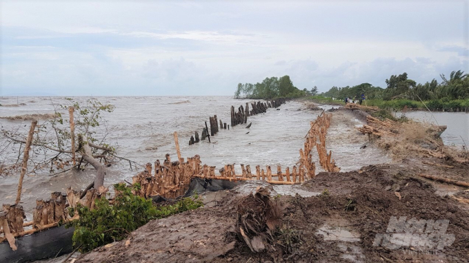 Mưa lớn liên tiếp nhiều ngày qua, làm sóng biển dâng cao đã gây vỡ hoàn toàn một đoạn đê biển tại Vàm Tiểu Dừa, huyện An Minh. Ảnh: LH.