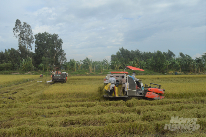 Từ vụ hè thu 2016-2020, tỉnh Kiên Giang đã triển khai cánh đồng lớn, với tổng diện tích gần 119.500 ha, trong đó, riêng Trung tâm Khuyến nông thực hiện được trên 17 ngàn ha. Ảnh: Trung Chánh.