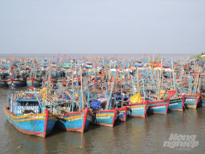 Chỉ tàu cá có chiều dài lớn nhất dưới 12 m được tham gia khai thác nghêu lụa, sò lông và không cấp phép cho tàu cá ngoài tỉnh. Ảnh: Trung Chánh.