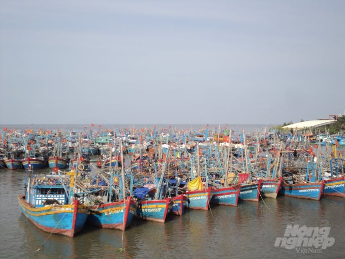 Hiện tại Kiên Giang có 5.400 tàu cá hoạt động trên biển, đã được thông báo về đường di chuyển của bão số 14 và đang được kêu gọi tìm nơi tránh trú an toàn. Ảnh: Trung Chánh.