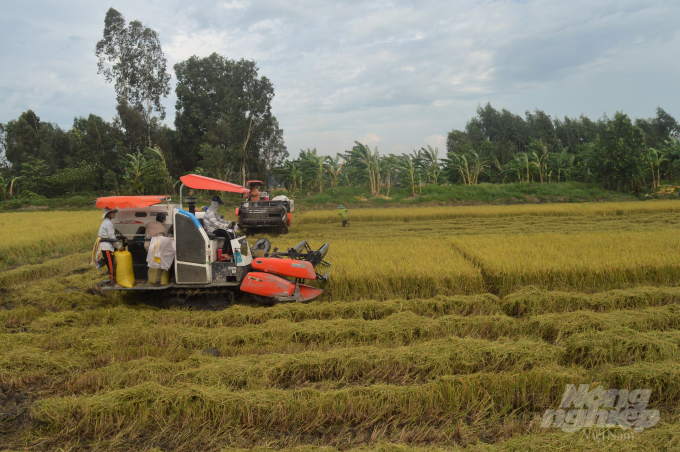Sản xuất nông nghiệp của tỉnh Kiên Giang năm 2020 đạt thắng lợi nhiều mặt, với sản lượng lúa đạt trên 4,5 triệu tấn, trong đó diện tích lúa chất lượng cao chiếm khoảng 80% diện tích gieo trồng. Ảnh: Trung Chánh.