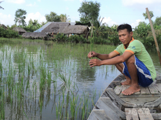 Đến nay, tỉnh Kiên Giang đã ghi nhận có 6.672 ha lúa - tôm bị thiệt hại do bị nhiễm mặn trong đất, trong đó huyện An Minh là địa phương bị thiệt hại nhiều nhất với 6.158 ha. Ảnh: Trung Chánh.