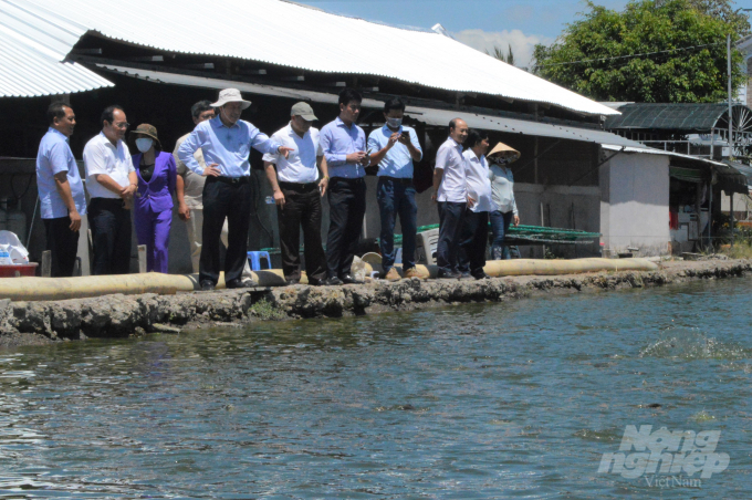 Đoàn công tác thăm mô hình nuôi cá thác lác cườm, gắn với chế biến tại TP Vị Thanh. Ảnh: Trung Chánh.