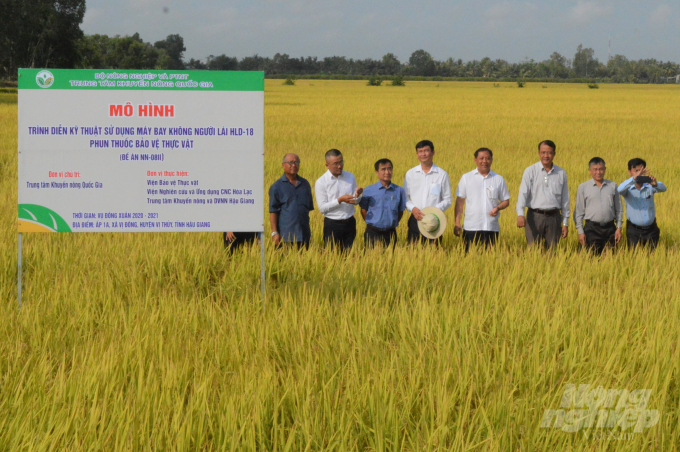 Hậu Giang phát triển mạnh cánh đồng lớn sản xuất lúa và đã xây dựng được vùng nguyên liệu lúa chất lượng cao với quy mô 32.000 ha. Ảnh: Trọng Linh.