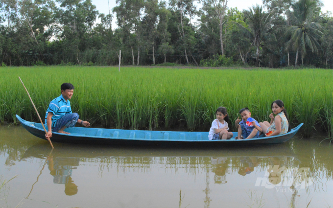Đến nay, tỉnh Kiên Giang đã có hàng chục ngàn ha được nông dân thực hiện chuyển đổi sang mô hình lúa - tôm, thích ứng tốt với điểu kiện biến đổi khí hậu, xâm nhập mặn, nâng cao hiệu quả kinh tế. Ảnh: Văn Vũ.