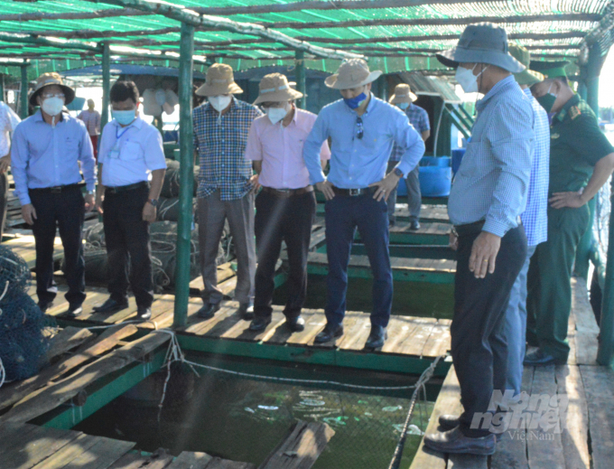 Đoàn công tác Trung ương về xây dựng NTM đến thăm mô hình phát triển nuôi cá lồng bè trên biển tại xã đảo Tiên Hải, TP Hà Tiên. Ảnh: Đào Trung Chánh.
