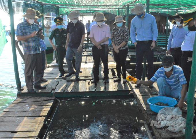 Đoàn công tác Trung ương về xây dựng NTM đến thăm mô hình phát triển nuôi cá lồng bè trên biển tại xã đảo Tiên Hải, TP Hà Tiên. Ảnh: Đào Trung Chánh.