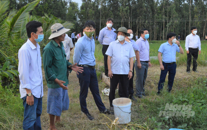 Đoàn công tác Trung ương về xây dựng NTM đến thăm mô hình sản xuất tôm - lúa hữu cơ tại huyện Vĩnh Thuận. Ảnh: Đào Trung Chánh.