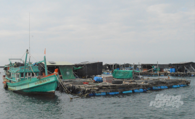 Nghề nuôi cá lồng bè trên biển phát triển mạnh tại xã đảo Hòn Nghệ, mang lại nguồn thu nhập khá cho bà con ngư dân. Ảnh: Trung Chánh.