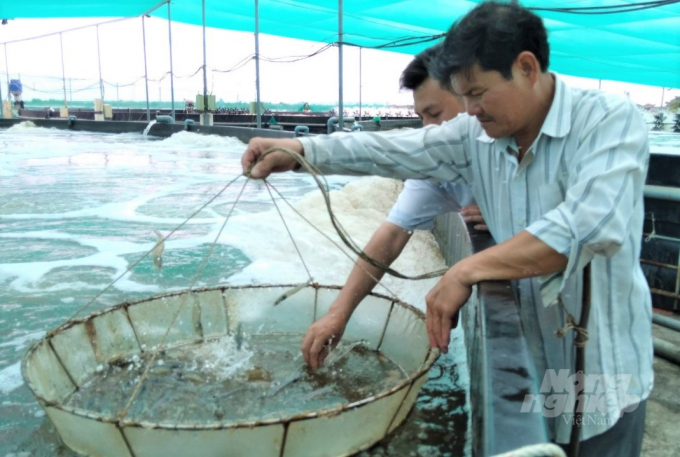 Cùng với đầu tư hạ tầng, việc chuyển đổi diện tích sản xuất lúa kém hiệu quả sang nuôi trồng thủy sản mang hiệu hiệu quả kinh tế cao hơn. Ảnh: Trung Chánh.