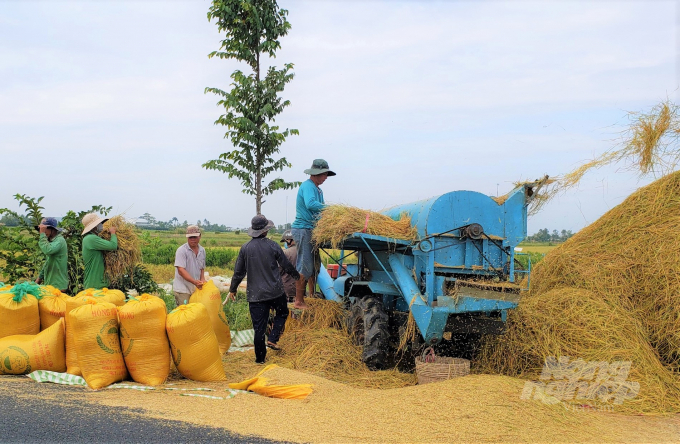 Liên kết với doanh nghiệp sản xuất lúa đạt tiêu chuẩn hữu cơ USDA của Mỹ, đã giúp nâng cao giá trị, mang lại thu nhập cao cho nhà nông. Ảnh: Trung Chánh.