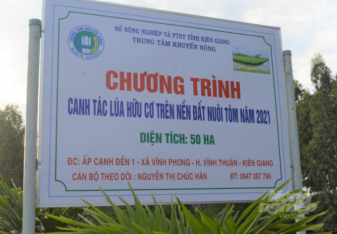 Cánh đồng lớn 50ha canh tác lúa hữu cơ trên nền đất nuôi tôm ở xã Vĩnh Phong, huyện Vĩnh Thuận. Ảnh: Đào Chánh.