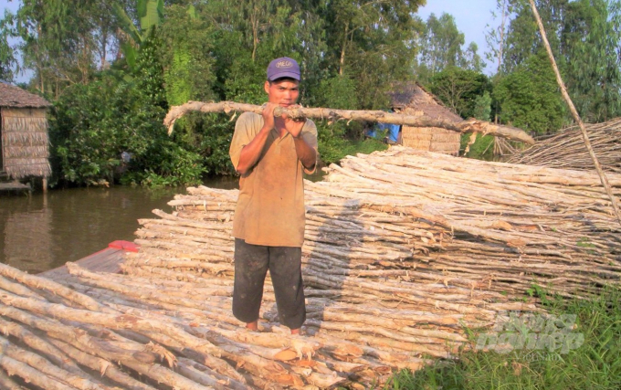 Phong trào trồng rừng sản xuất và trồng cây phân tán tại Kiên Giang đạt hiệu quả, đã tạo ra nguồn cung cấp nguyên liệu gỗ bền vững cho hoạt động sản xuất, kinh doanh. Ảnh: Trung Chánh.