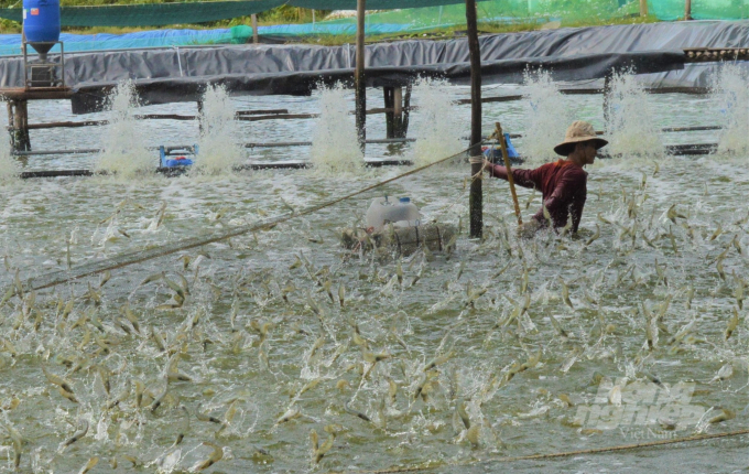 Nuôi trồng thủy sản, nhất là nuôi biền và nuôi nước lợ đang đóng góp tích cực cho tăng trưởng của tỉnh Kiên Giang, cần có giải pháp để thúc đẩy phát triển mạnh mẽ hơn nữa vì dư địa vẫn còn rất lớn. Ảnh: Trung Chánh.