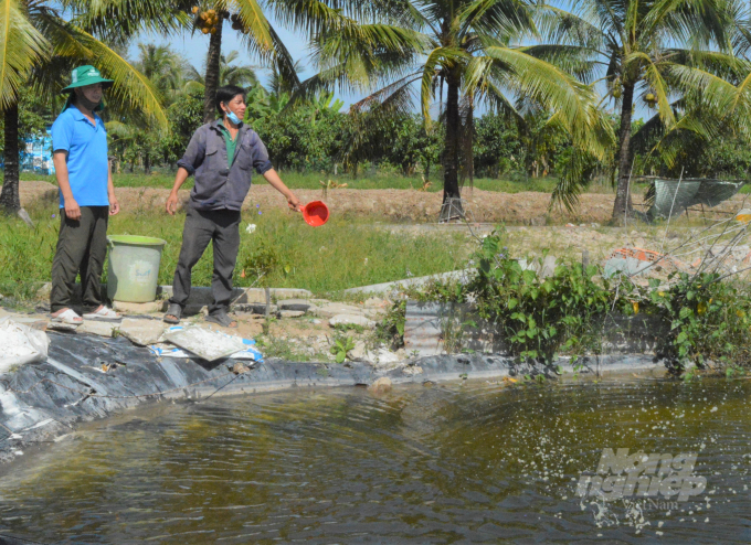 Nông dân Vùng U Minh Thượng, Kiên Giang sử dụng vi sinh xử lý nguồn nước ao ương dèo tôm giống, chuẩn bị cho vụ thả nuôi tôm nước lợ 2022. Ảnh: Trung Chánh.