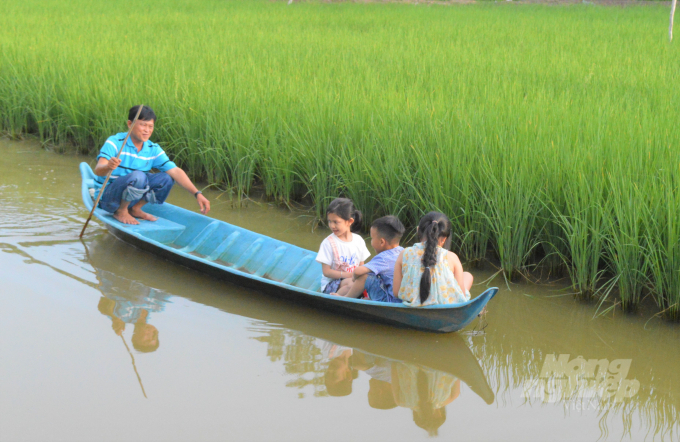 Toàn tỉnh Kiên Giang hiện có 442 hợp tác xã, gồm 354 hợp tác xã trồng trọt, 86 hợp tác xã thủy sản, 2 hợp tác xã chăn nuôi, giải quyết việc làm và đóng góp tích cực cho phát triển kinh tế nông nghiệp. Ảnh: Trung Chánh.