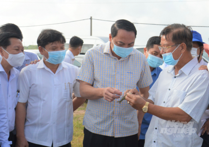 Chủ tịch UBND tỉnh Kiên Giang Lâm Minh Thành (thứ 2 từ phải qua) kiểm tra tình hình phát triển nuôi tôm nước lợ tại vùng Tứ giác Long Xuyên. Ảnh: Trung Chánh.