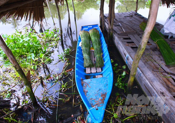 Cây lác (còn gọi là cói) được vận chuyển về Ngan Dừa từ khắp các nơi trong vùng. Đây là loại cây thân thảo, mềm, xốp, mọc hoang nơi đầm lầy hoặc trồng trên ruộng chua phèn.