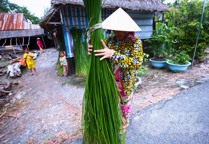 Vào làng nghề dệt chiếu truyền thống Ngan Dừa, ấn tượng đầu tiên là hai bên đường phơi toàn là lác.