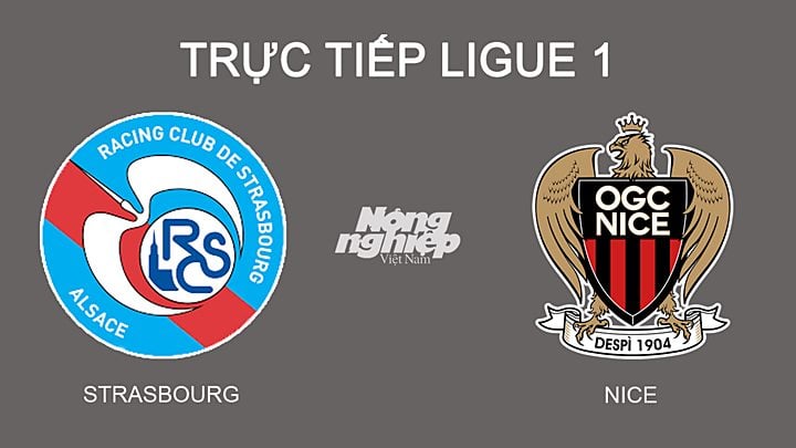 Trực tiếp bóng đá Ligue 1 giữa Strasbourg vs Nice hôm nay 26/2/2022