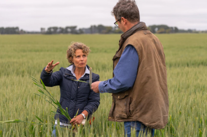 Jen Lillecrapp works with innovative growers to boost yields. Photo: Landline: Kerry Staight