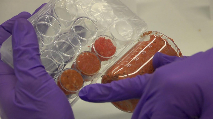 Lab meat is created by cultivating animal cells. Photo: News Sky