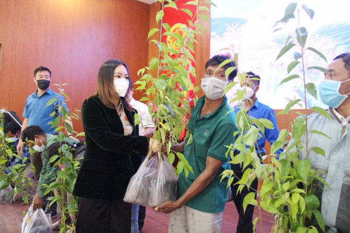 Đại diện dự án 'Mây Hồng - Phủ hồng đồi xanh' tặng cây cho người dân huyện Khánh Sơn. Ảnh: TL.