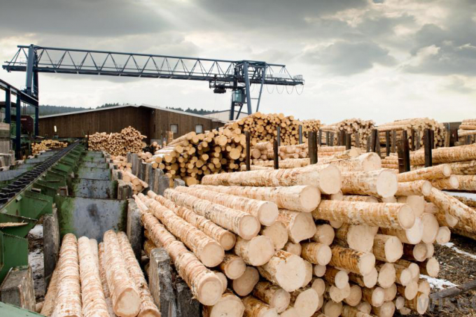 Enterprises need to be proactive in the supply of wood materials in the context of the high price of imported wood materials. Photo: TL.