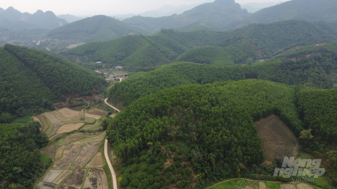 Bac Kan possessed a large wood material area, with over 102,000 hectares of planted forest. Photo: Toan Nguyen.