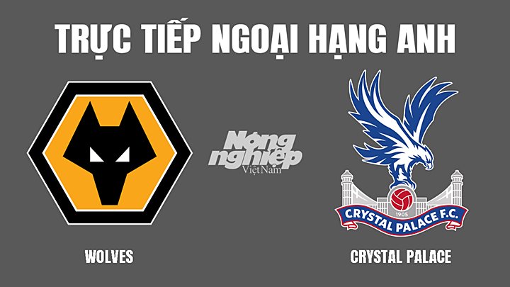 Trực tiếp bóng đá Ngoại hạng Anh giữa Wolves vs Crystal Palace hôm nay 5/3/2022