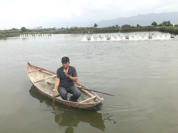 Ngành chức năng Bình Định khuyến cáo người nuôi tôm chú trọng quản lý môi trường nước trong ao nuôi. Ảnh: V.Đ.T.