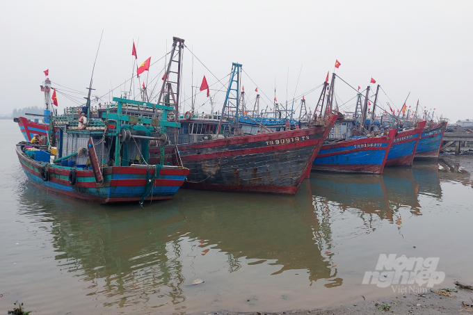 1.200 tàu cá của ngư dân Thanh Hóa phải nằm bờ do giá dầu tăng cao và thiếu lao động. Ảnh: VD.