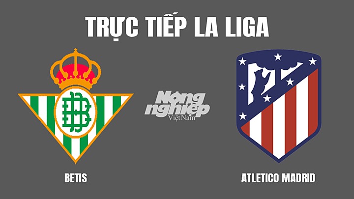 Trực tiếp bóng đá La Liga mùa giải 2021/2022 giữa Betis vs Atletico Madrid hôm nay 7/3