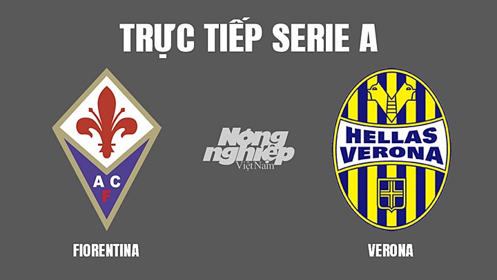 Trực tiếp bóng đá Serie A mùa giải 2021/2022 giữa Fiorentina vs Verona hôm nay 6/3