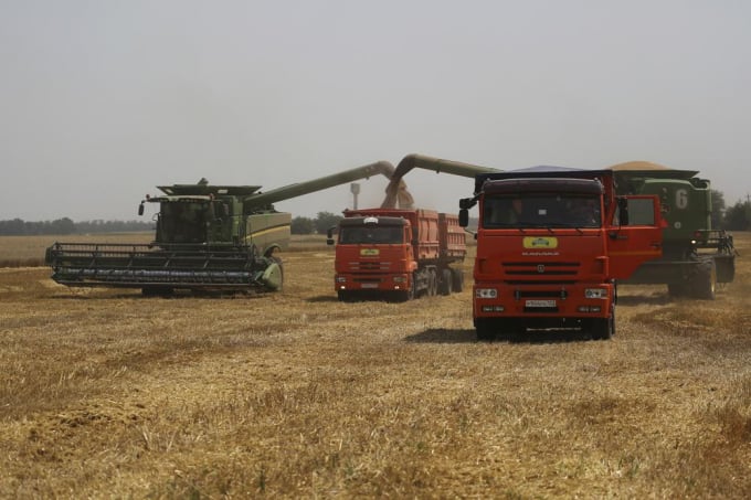Farmers harvest with their combines in a wheat field near the village Tbilisskaya, Russia, July 21, 2021. The Russian tanks and missiles besieging Ukraine also are threatening the food supply and livelihoods of people in Europe, Africa and Asia who rely on the vast, fertile farmlands known as the 'breadbasket of the world.' Russia and Ukraine combine for about a third of the world’s wheat and barley exports and provide large amounts of corn and cooking oils.  Photo: AP