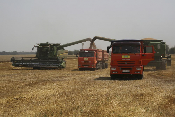 Farmers harvest with their combines in a wheat field near the village Tbilisskaya, Russia, July 21, 2021. The Russian tanks and missiles besieging Ukraine also are threatening the food supply and livelihoods of people in Europe, Africa and Asia who rely on the vast, fertile farmlands known as the 'breadbasket of the world.' Russia and Ukraine combine for about a third of the world’s wheat and barley exports and provide large amounts of corn and cooking oils.  Photo: AP