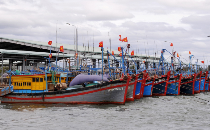 Cảng cá Tiên Châu đã được đầu tư nâng cấp, đảm bảo cho tàu thuyền neo đậu, bốp xếp hàng hóa. Ảnh: K.S.