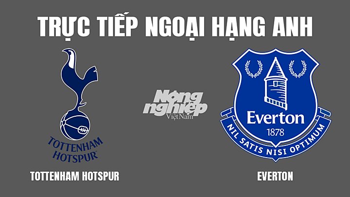 Trực tiếp bóng đá Ngoại hạng Anh giữa Tottenham vs Everton hôm nay 8/3/2022